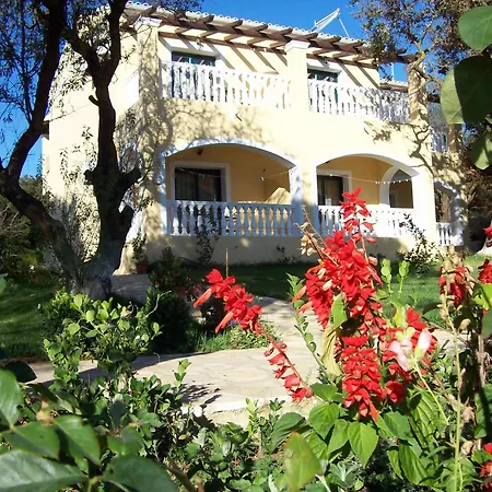 Zeus Throne Ii Afión